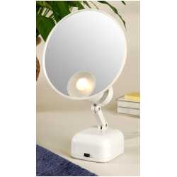 15 X Magnifying Mirror W/3 Light Levels, Price: $83.99
